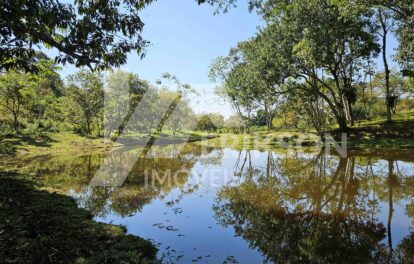 Chácara a venda em Morretes - divisa com Antonina