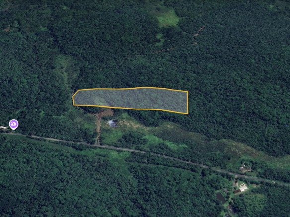 Área Rural à Venda em Antonina/PR com 40.000 m²
