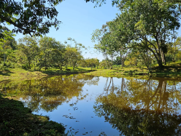 chacara venda antonina tanque grande reflexo arvores