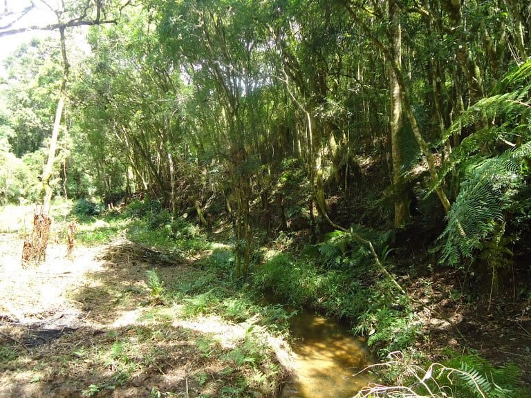 chacara a venda em mandirituba