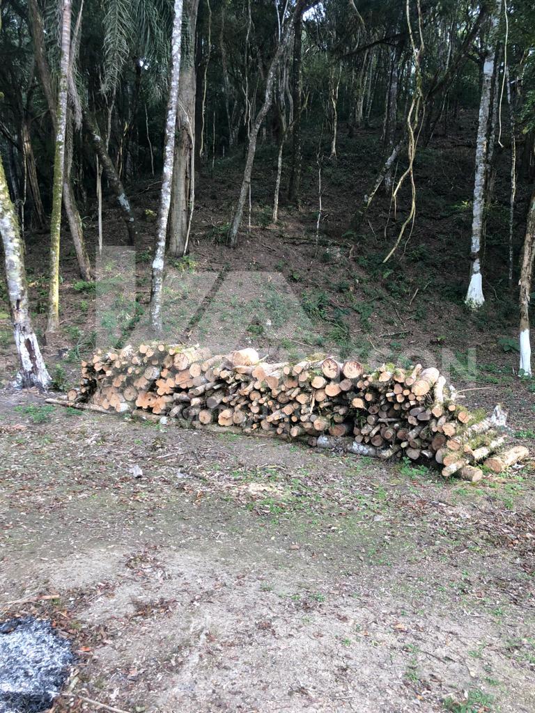 IMG-20241203-WA0045