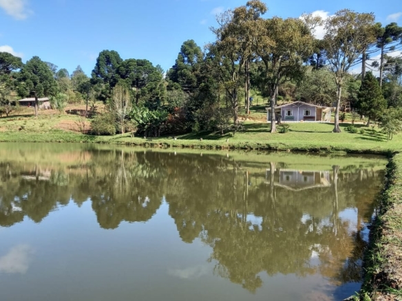 Chácara à venda em Mandirituba com 31.000m², represa, córregos e pomar no Espigão das Antas