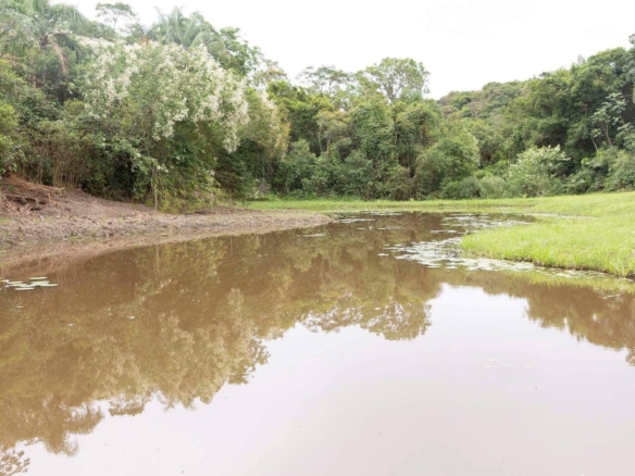 Chácara à venda em Antonina com 108.900m², Rio Nhundiaquara, açude e mata atlântica na divisa com Morretes