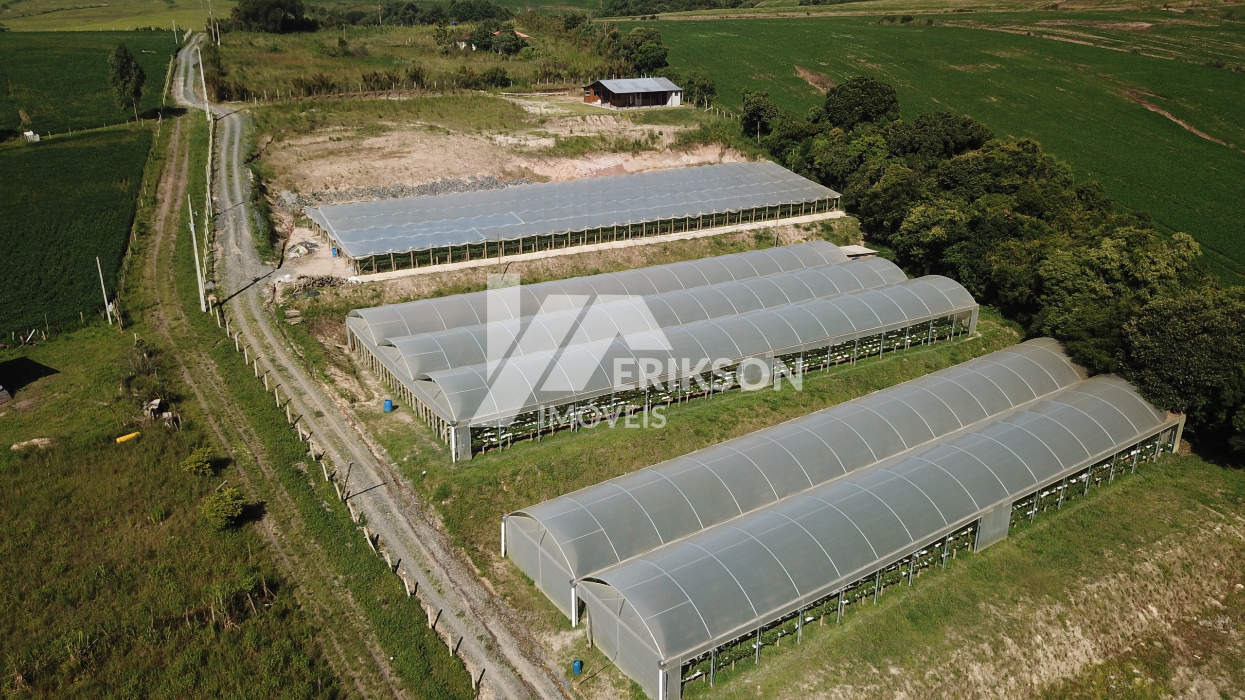 DJI 0115 DJI 0115