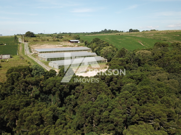 DJI 0117