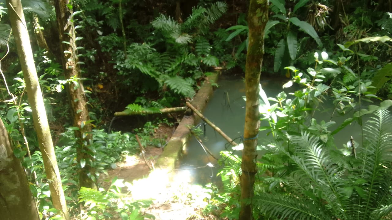 IMG 20240617 WA0042 IMG 20240617 WA0042