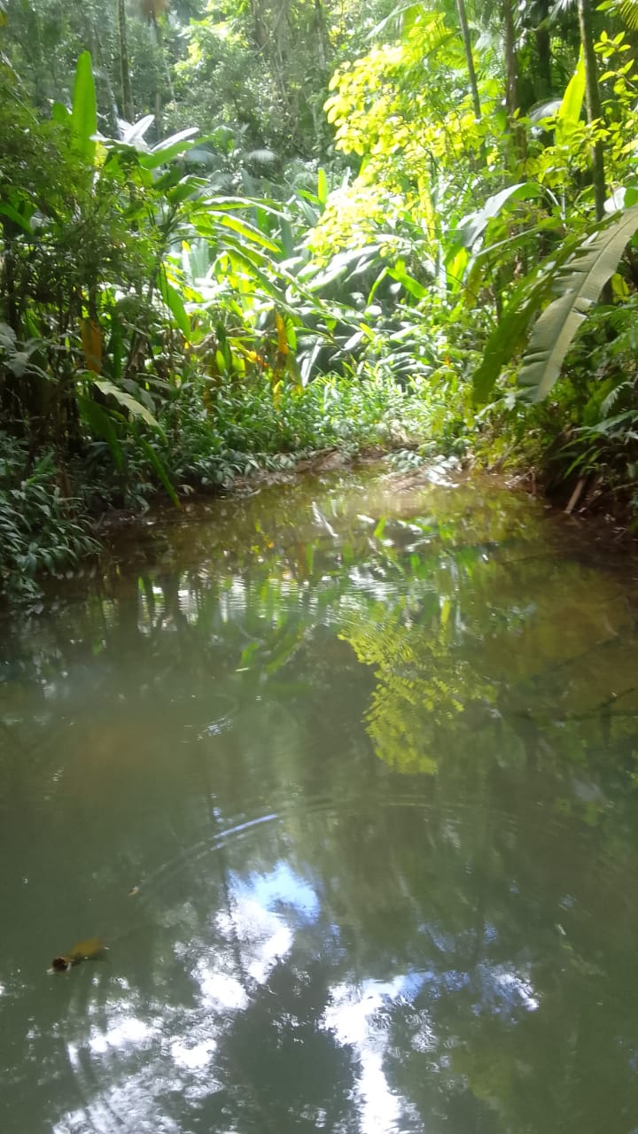 IMG 20240617 WA0043 IMG 20240617 WA0043