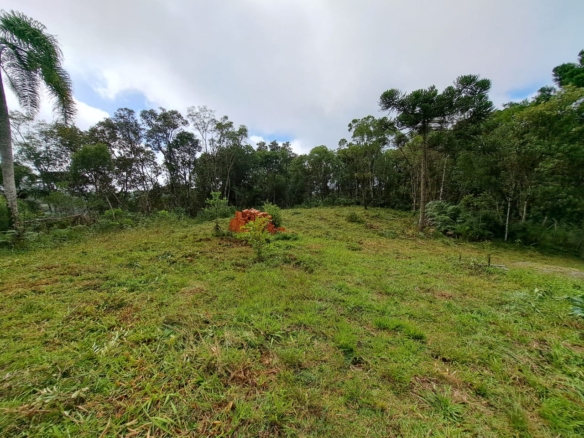 Chácara à venda em Quatro Barras com nascente própria e 21.087 m²
