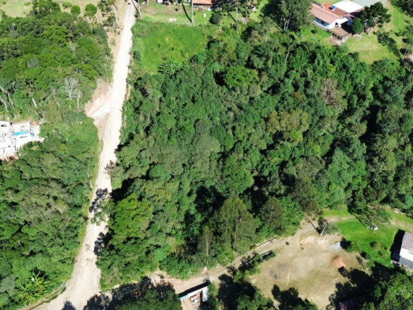 Terreno à venda em Quatro Barras com mata nativa densa e vista para as montanhas da Serra