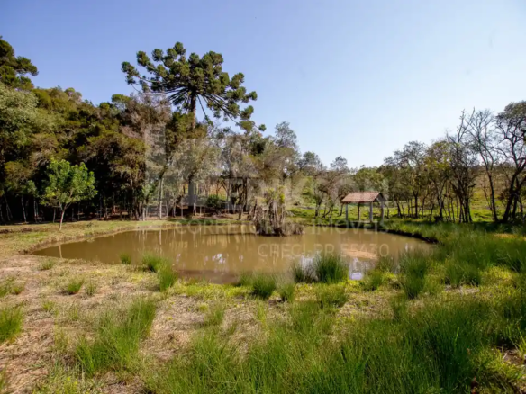 Chácara à venda em Bocaiúva do Sul com 20.000m², rio com cachoeira e tanques de peixe